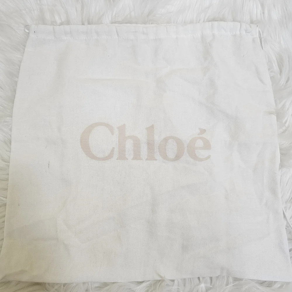 🎁🎀HOST PICK🎀🎁Chloé Medium Roy Clutch/Shoulder Bag With Chloé Wallet - Picture 13 of 17